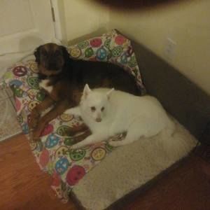 Meet your Posher, John